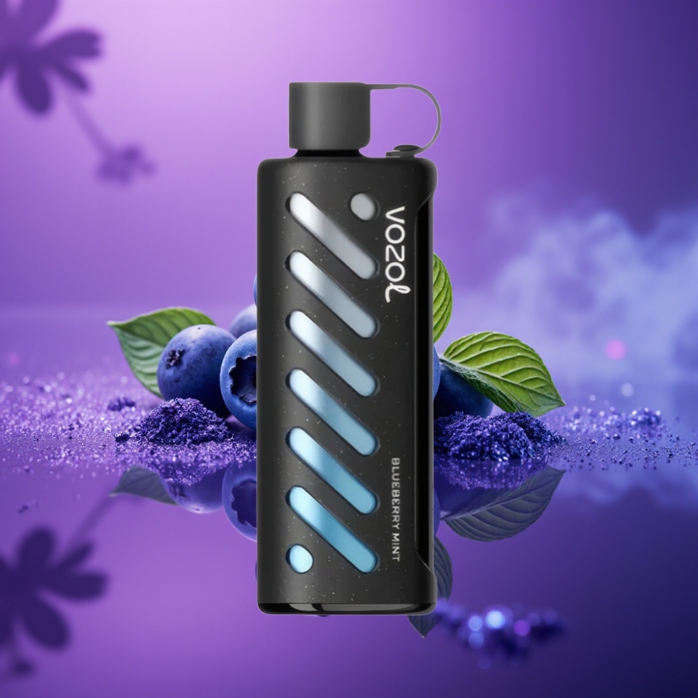VOZOL Gear Shisha 25000 Puffs Vape Disposable Menta Arándano 1000mAh 5mg/ml Dual Mesh