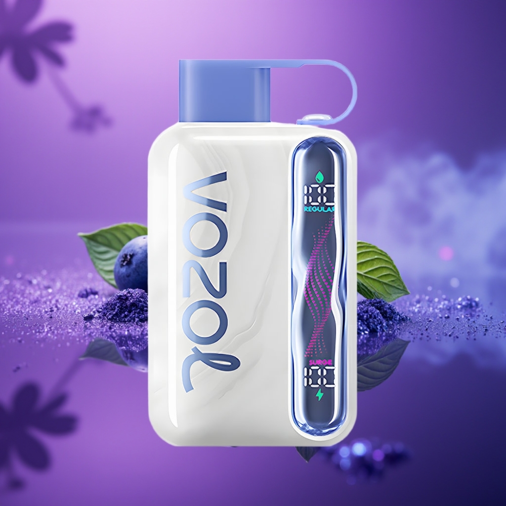 VOZOL STAR 40000 Puffs Vape Desechable Menta Arándano 1000mAh Tipo-C 20/50mg/ml